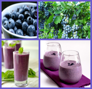 Blueberry Fruit Slush